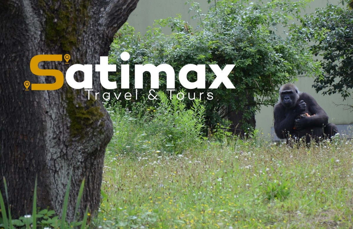 7 Days Rwanda Gorilla Wildlife Safari